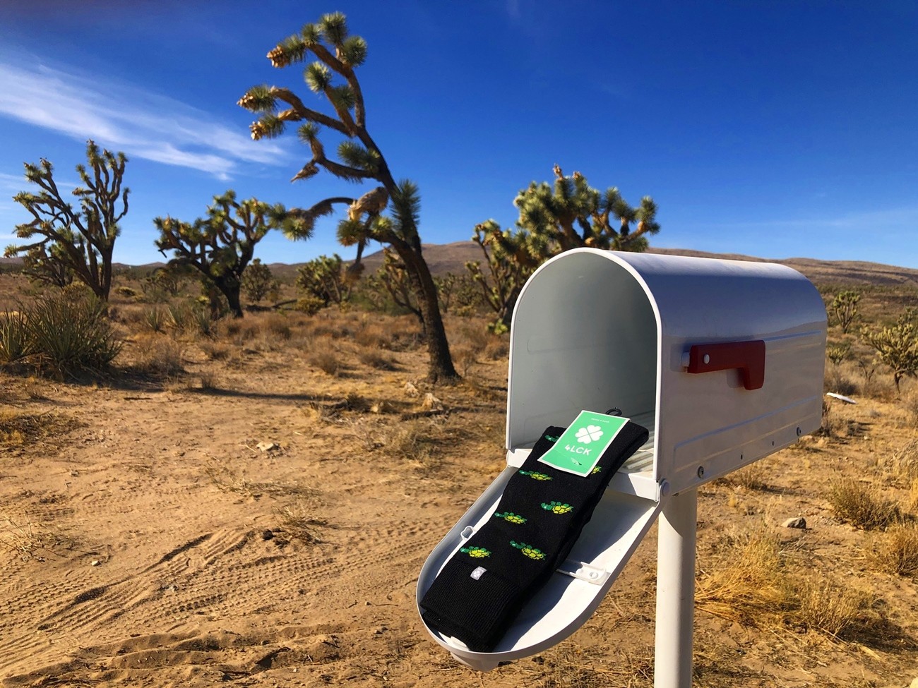 Colorful Socks in mailbox with cactus and arizona view